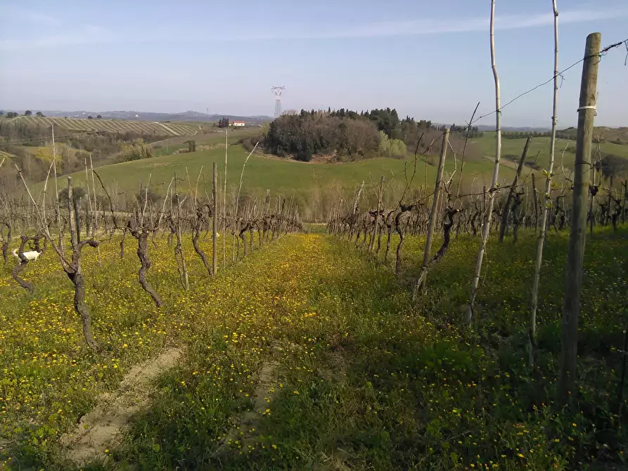 Immagine 26 di Casa indipendente in vendita  a Montaione