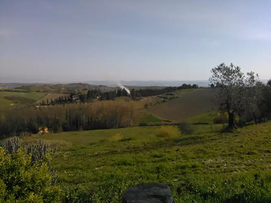 Immagine 7 di Casa indipendente in vendita  a Montaione