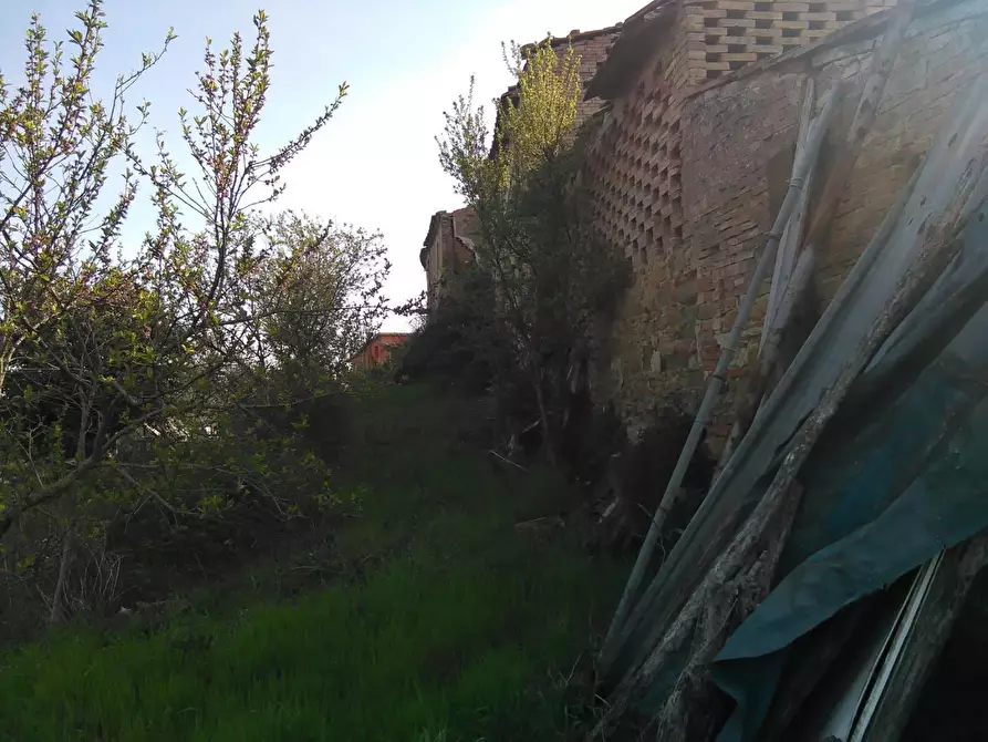 Immagine 24 di Casa indipendente in vendita  a Montaione