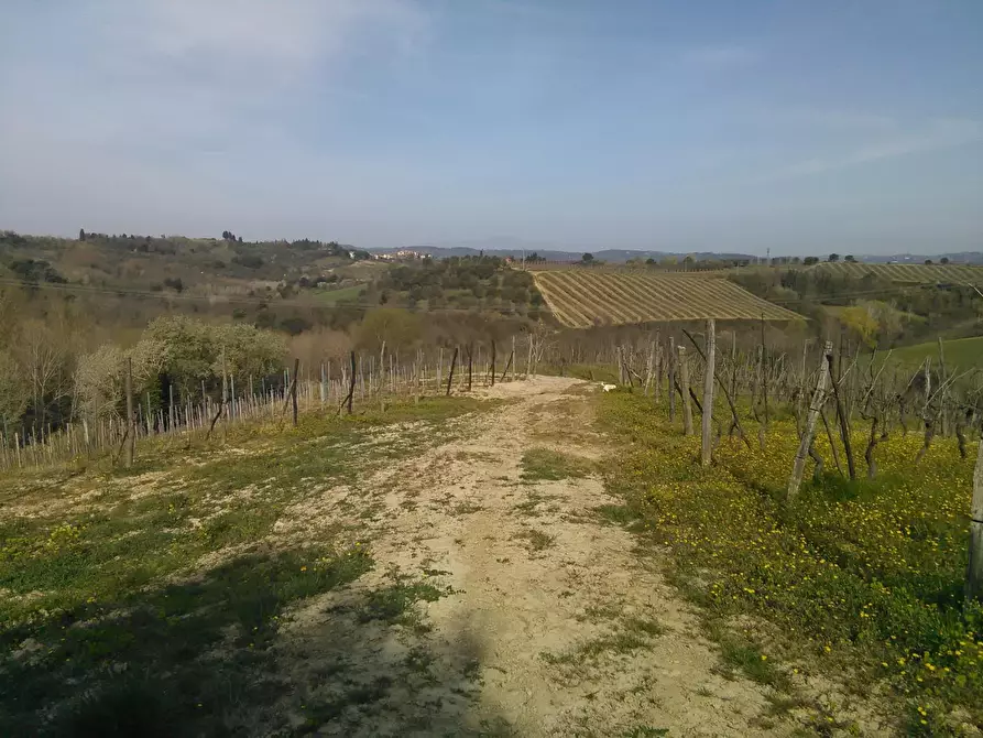 Immagine 28 di Casa indipendente in vendita  a Montaione