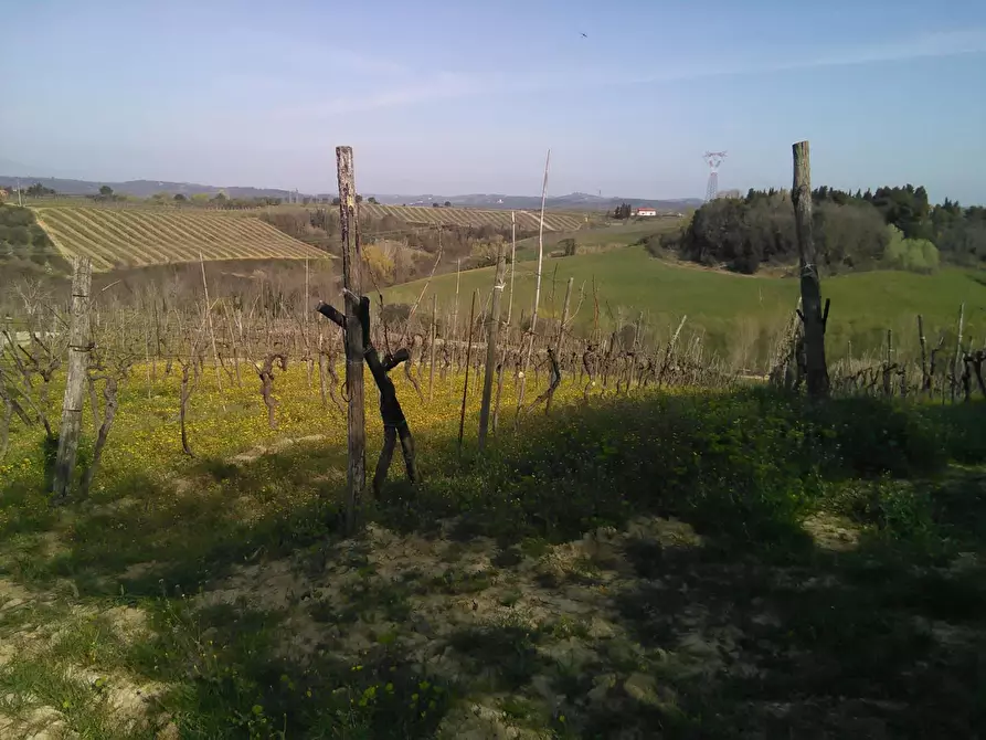 Immagine 25 di Casa indipendente in vendita  a Montaione