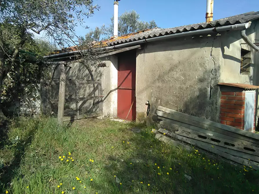 Immagine 4 di Casa indipendente in vendita  a Montaione