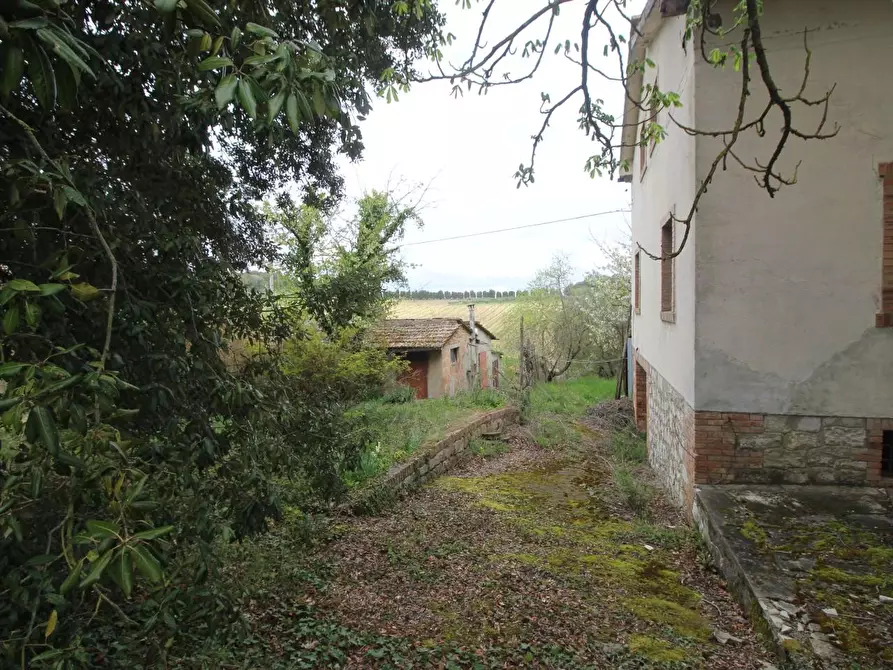 Immagine 2 di Villa in vendita  a Monteroni D'arbia