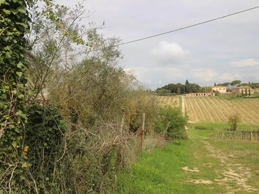 Immagine 6 di Villa in vendita  a Monteroni D'arbia