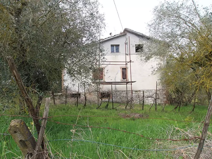 Immagine 10 di Villa in vendita  a Monteroni D'arbia