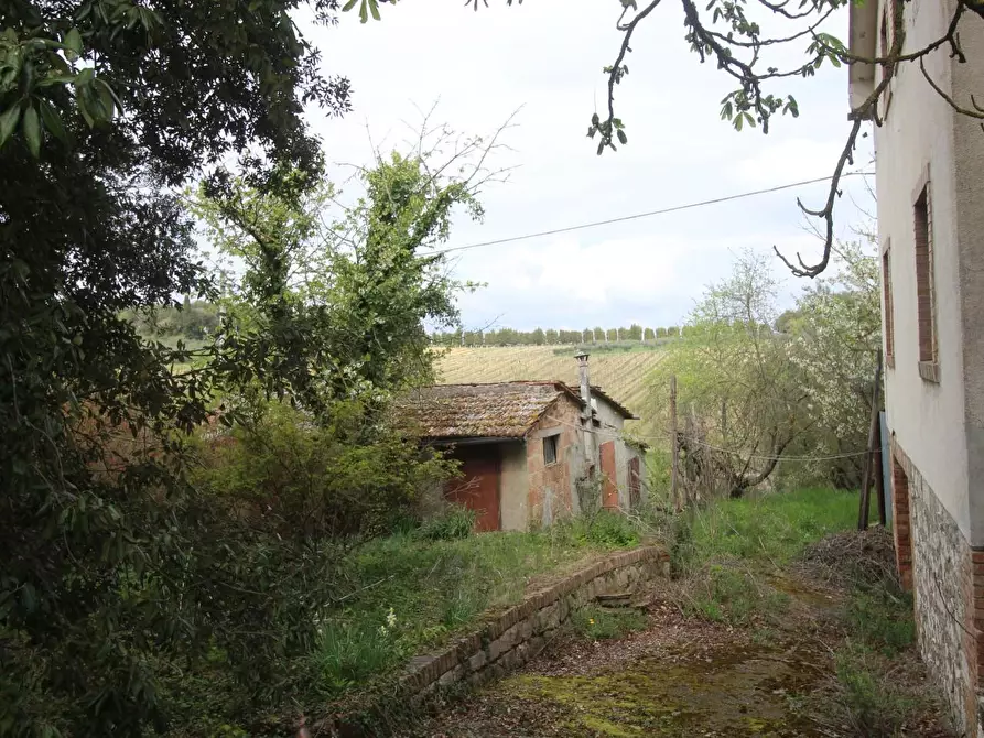 Immagine 4 di Villa in vendita  a Monteroni D'arbia