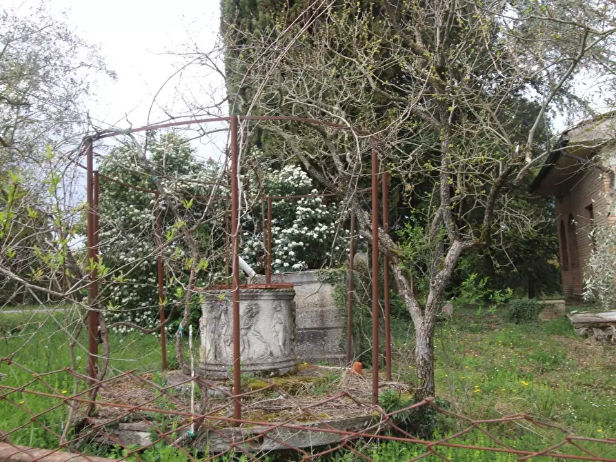 Immagine 3 di Villa in vendita  a Monteroni D'arbia