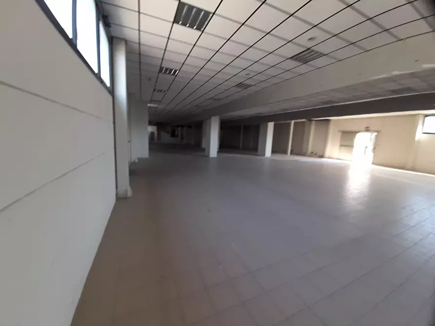 Immagine 7 di Capannone industriale in vendita  a Calcinaia