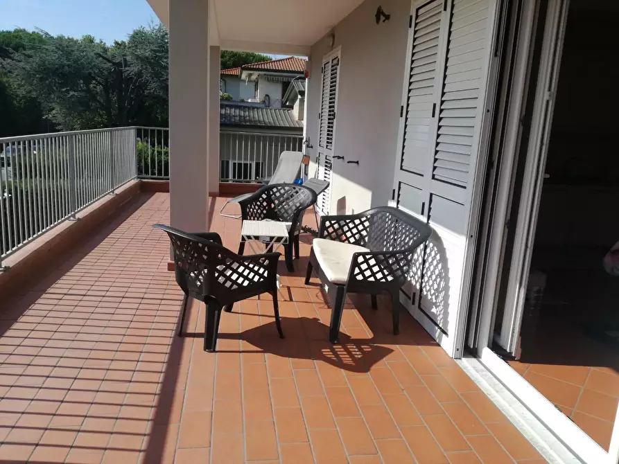 Immagine 6 di Appartamento in affitto  a Viareggio