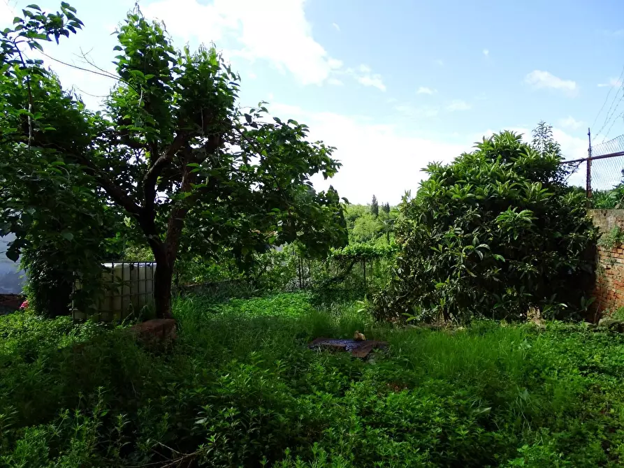 Immagine 49 di Appartamento in vendita  a San Miniato