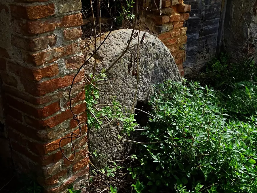 Immagine 52 di Appartamento in vendita  a San Miniato