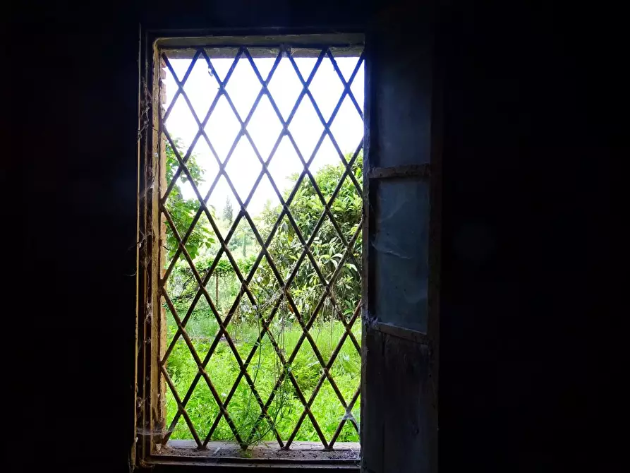 Immagine 61 di Appartamento in vendita  a San Miniato