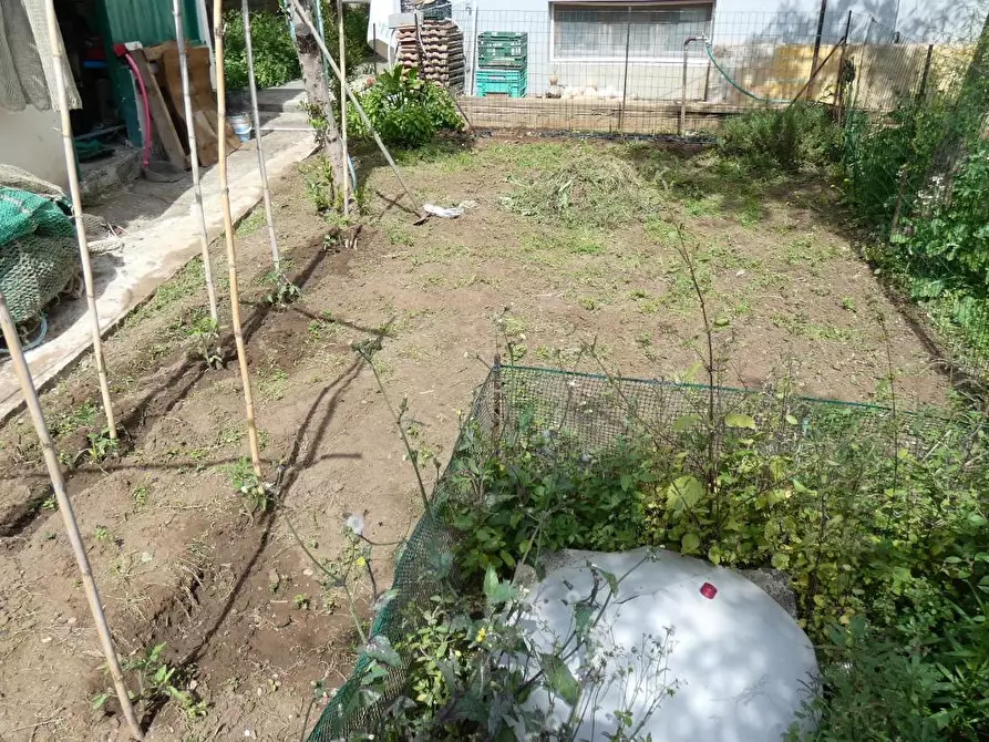 Immagine 20 di Appartamento in vendita  a Rosignano Marittimo
