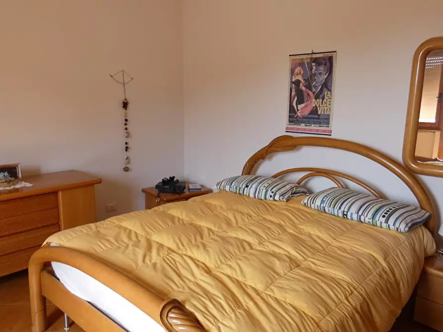 Immagine 6 di Appartamento in vendita  a Rosignano Marittimo