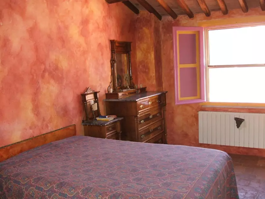 Immagine 9 di Terratetto in vendita  a Vecchiano