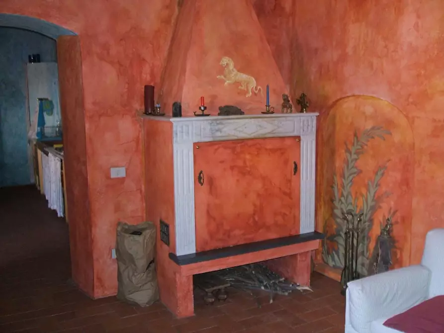 Immagine 15 di Terratetto in vendita  a Vecchiano