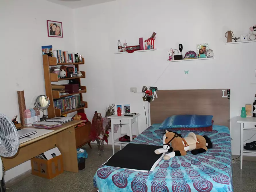 Immagine 6 di Appartamento in vendita  a Terricciola