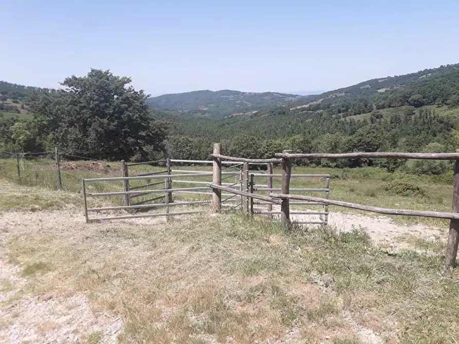 Immagine 15 di Terreno agricolo in vendita  a Roccalbegna
