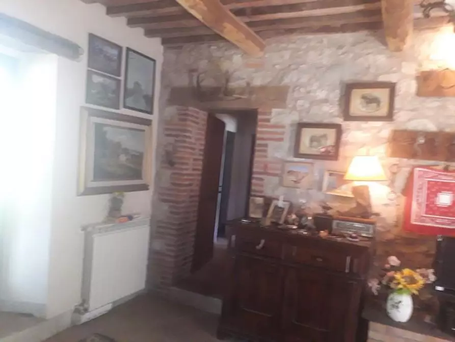 Immagine 24 di Terreno agricolo in vendita  a Roccalbegna