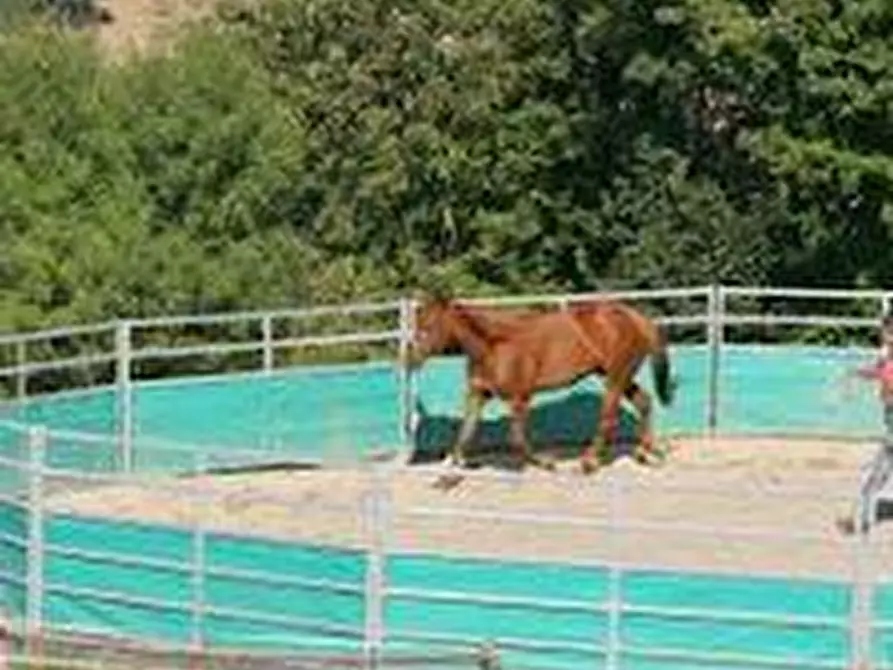 Immagine 13 di Terreno agricolo in vendita  a Roccalbegna