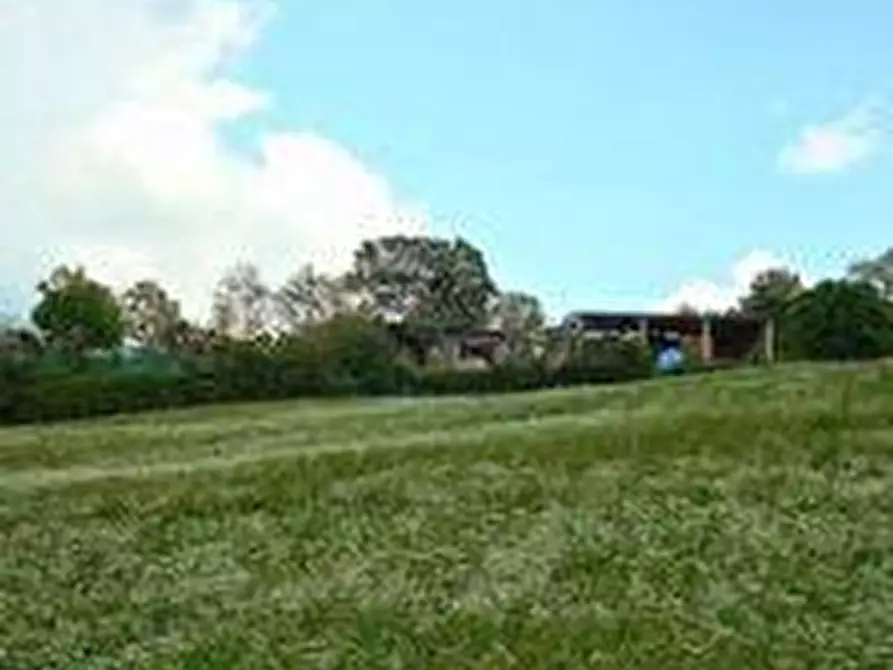 Immagine 5 di Terreno agricolo in vendita  a Roccalbegna