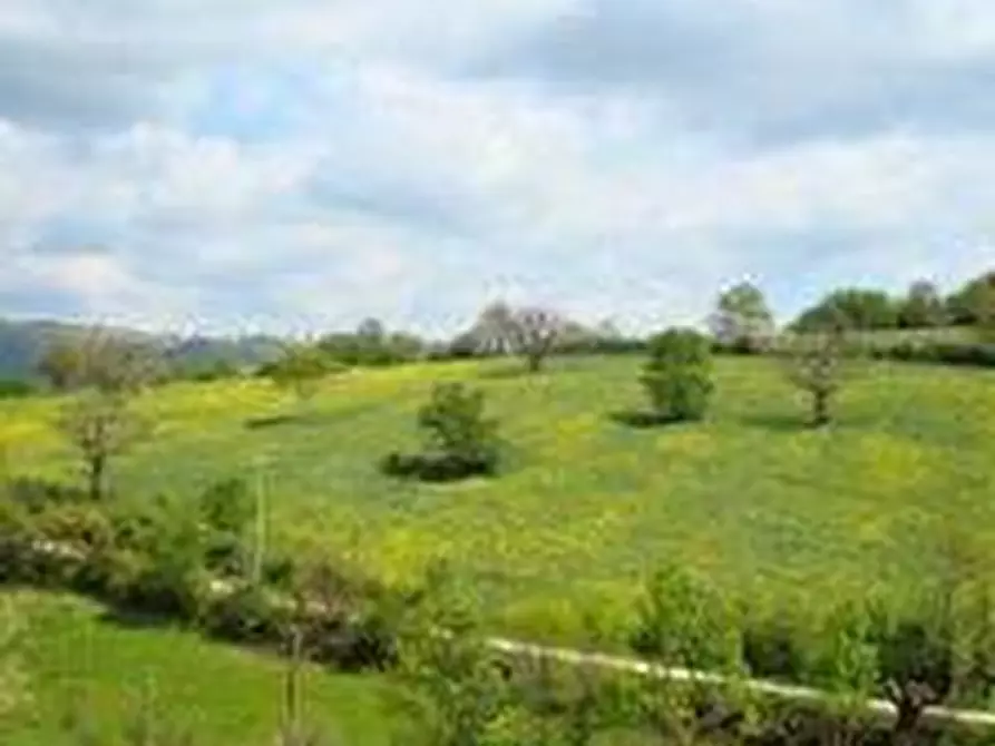 Immagine 6 di Terreno agricolo in vendita  a Roccalbegna
