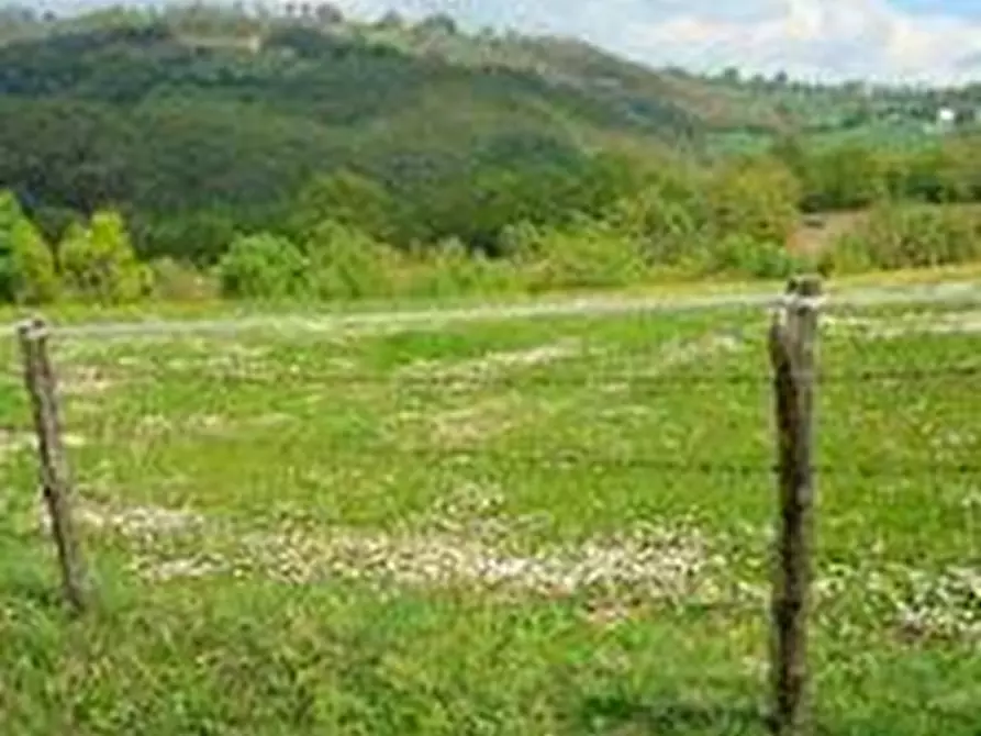 Immagine 2 di Terreno agricolo in vendita  a Roccalbegna