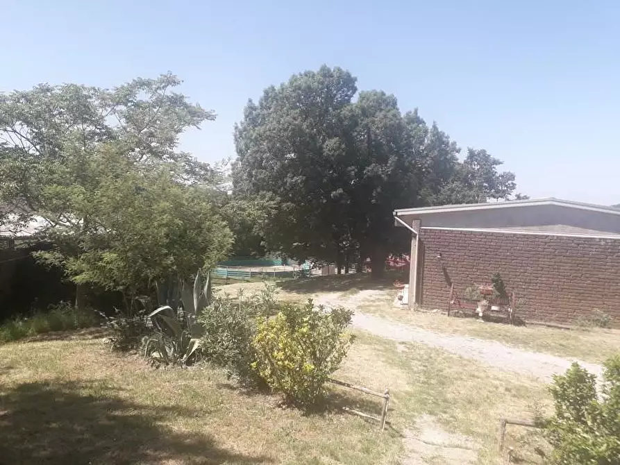 Immagine 19 di Terreno agricolo in vendita  a Roccalbegna