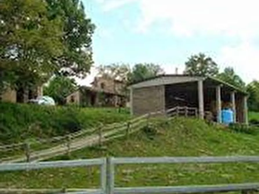 Immagine 7 di Terreno agricolo in vendita  a Roccalbegna