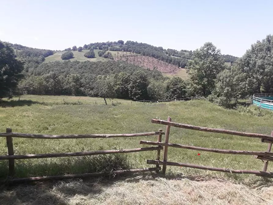 Immagine 1 di Terreno agricolo in vendita  a Roccalbegna