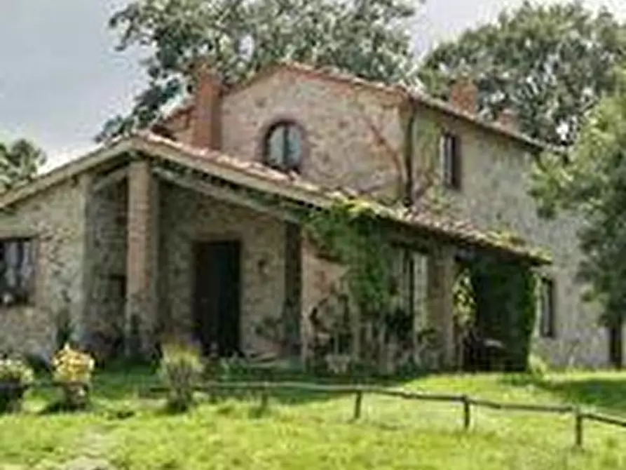 Immagine 14 di Terreno agricolo in vendita  a Roccalbegna