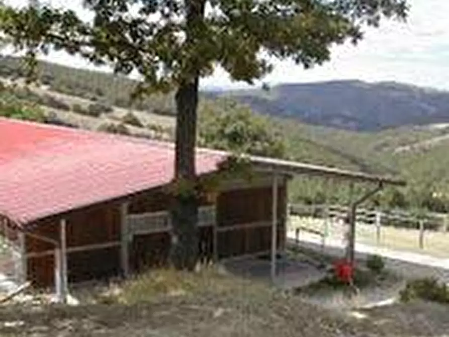 Immagine 12 di Terreno agricolo in vendita  a Roccalbegna