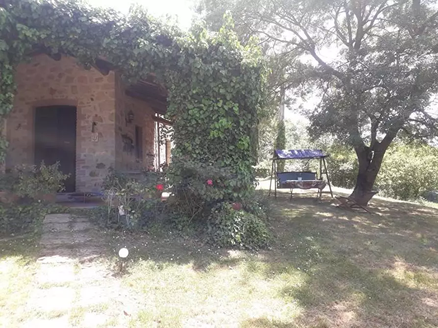 Immagine 17 di Terreno agricolo in vendita  a Roccalbegna