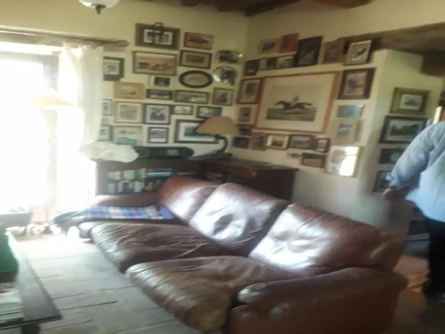 Immagine 23 di Terreno agricolo in vendita  a Roccalbegna