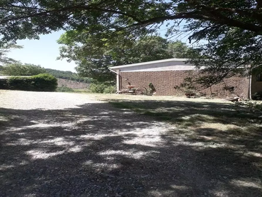 Immagine 18 di Terreno agricolo in vendita  a Roccalbegna