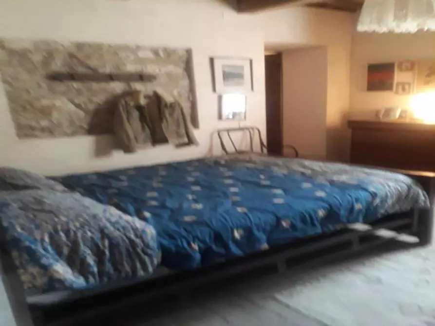 Immagine 20 di Terreno agricolo in vendita  a Roccalbegna