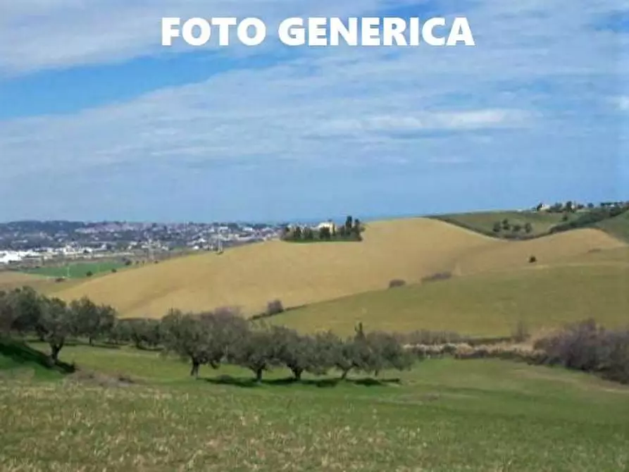 Immagine 1 di Terreno agricolo in vendita  a San Miniato