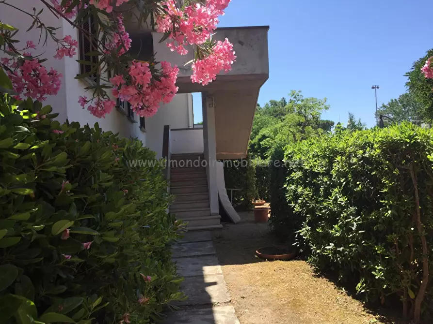 Immagine 3 di Appartamento in affitto  a Rosignano Marittimo