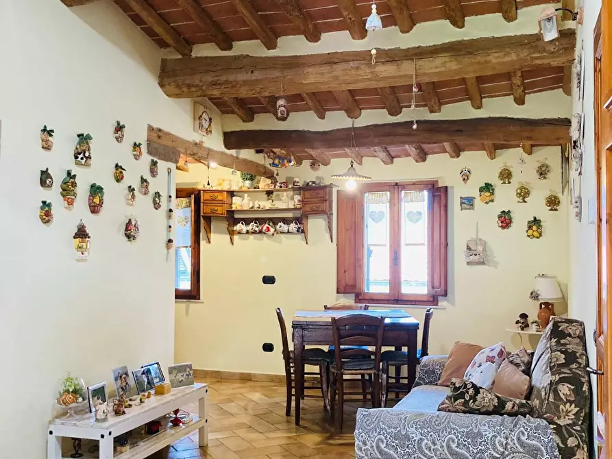 Immagine 2 di Appartamento in vendita  a Peccioli