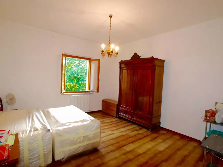 Immagine 28 di Casa colonica in vendita  a Peccioli