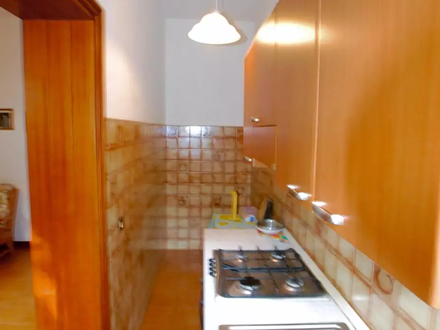 Immagine 23 di Casa colonica in vendita  a Peccioli