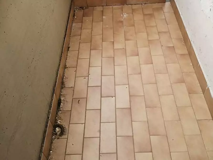 Immagine 12 di Appartamento in vendita  a Santa Maria A Monte