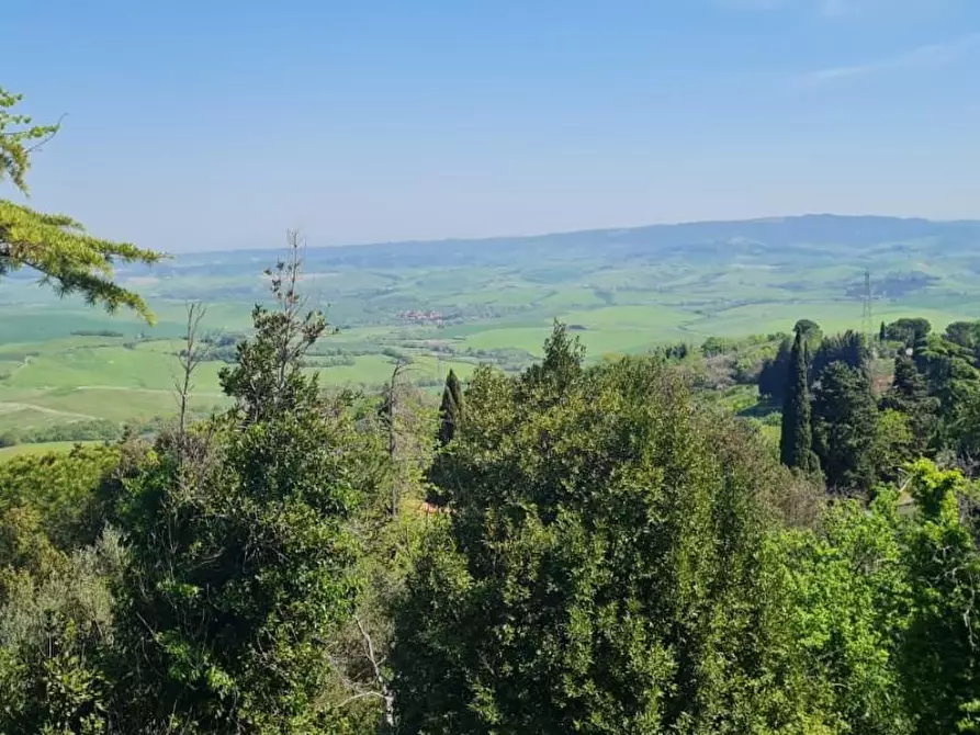 Immagine 42 di Casa semindipendente in vendita  a Lajatico