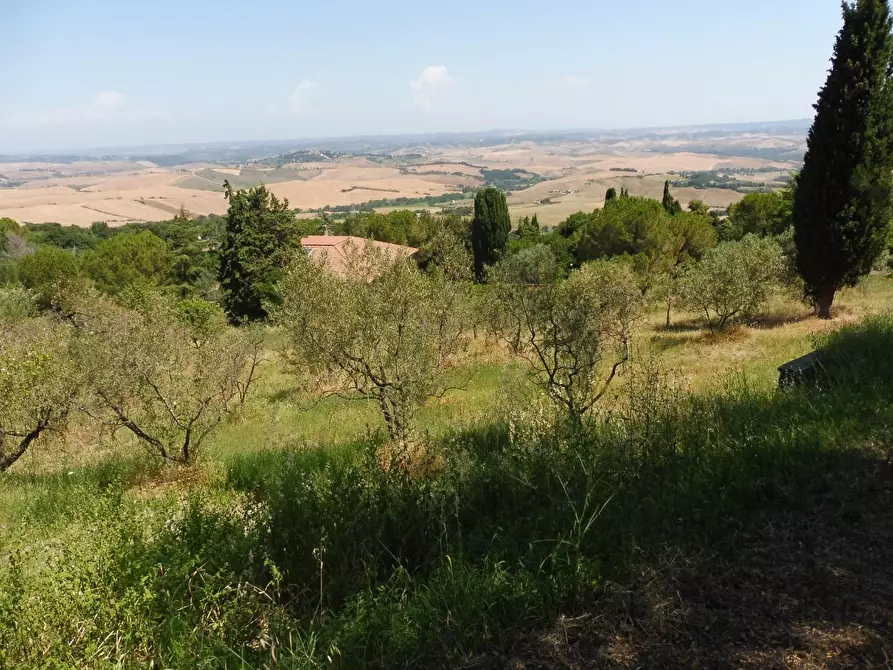 Immagine 29 di Casa semindipendente in vendita  a Lajatico