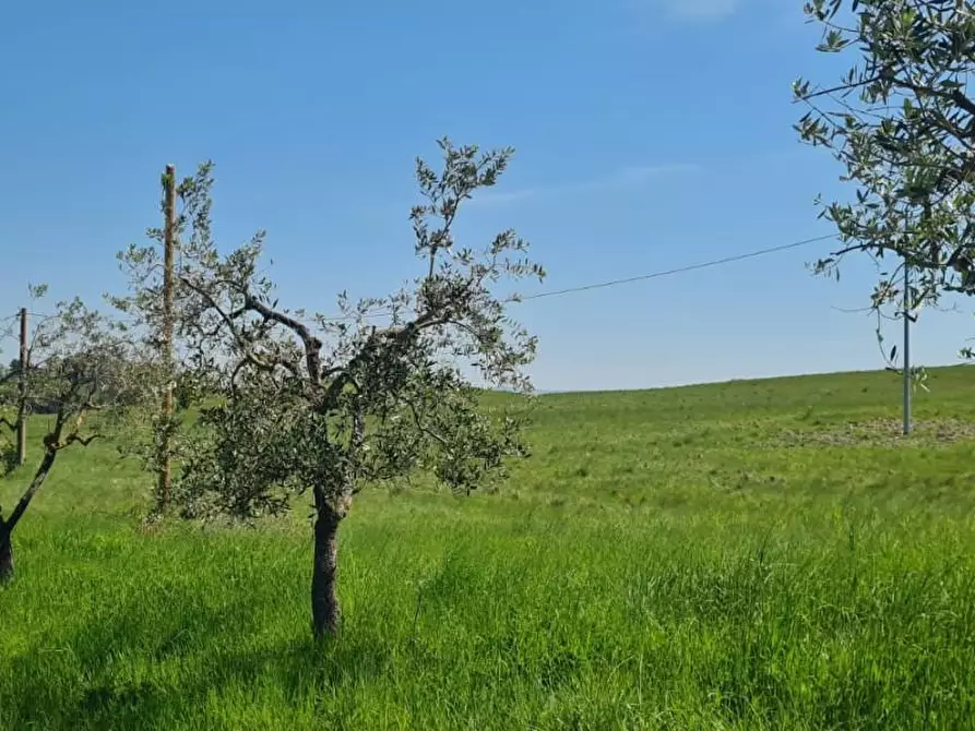 Immagine 35 di Casa semindipendente in vendita  a Lajatico