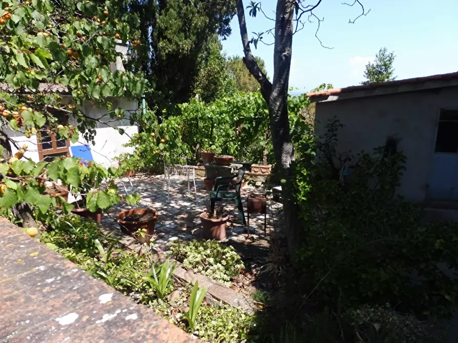 Immagine 14 di Casa semindipendente in vendita  a Lajatico