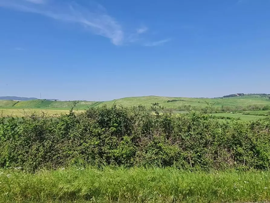 Immagine 37 di Casa semindipendente in vendita  a Lajatico