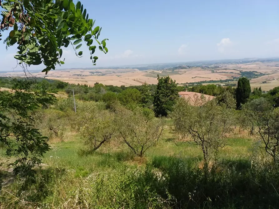 Immagine 28 di Casa semindipendente in vendita  a Lajatico