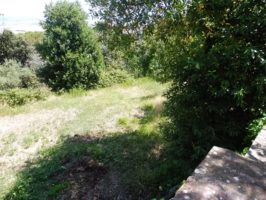 Immagine 2 di Casa semindipendente in vendita  a Lajatico