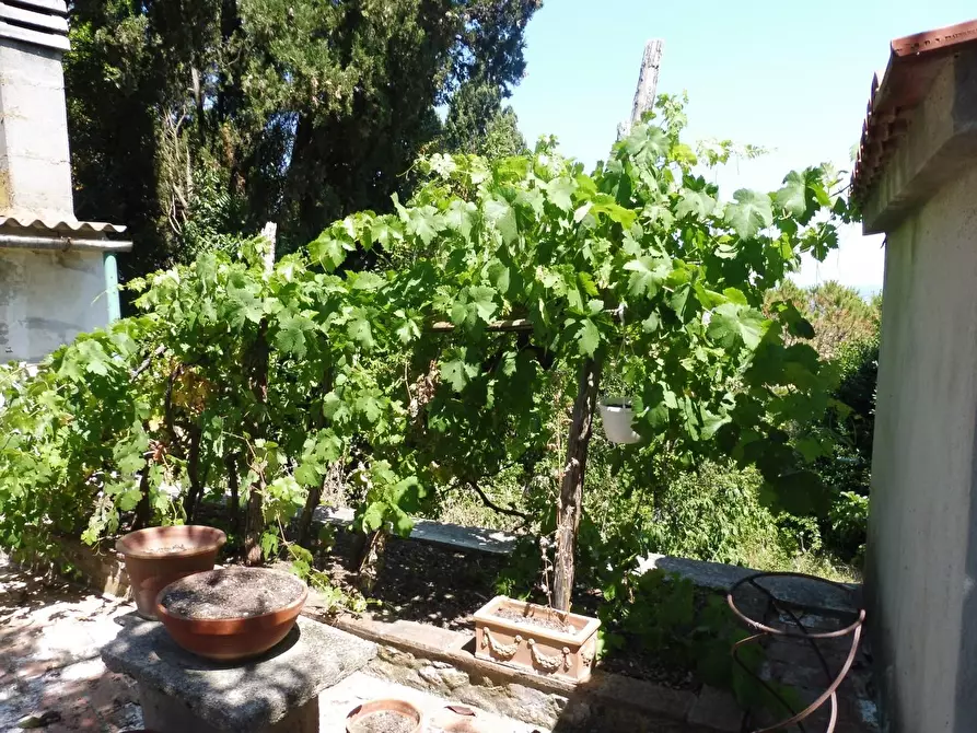 Immagine 16 di Casa semindipendente in vendita  a Lajatico